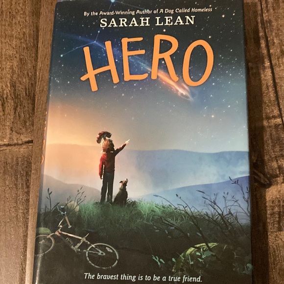 Hero by Sarah Lean - Picture 1 of 3